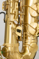 Expression T-418 HFL Tenor-Saxophon in Bb – Kupfer matt