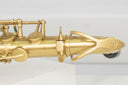 Expression T-418 HFL Tenor-Saxophon in Bb – Kupfer matt