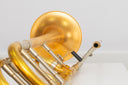 Eastman ETB426GV Tenorposaune mit Quartventil – Vintage-Finish
