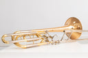 Yamaha YBL-620G Bb/F/D B/F/EB Bassposaune Goldmessing Schallbecher Sehr guter Zustand