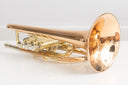 Geneva Symphony Bb-Kornett – Goldmessing, Edelstahlventile, 2 Trigger