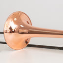 Conn 10H Coprion Jazz Trombone mit Carbonzug 1960er, made in USA