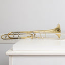 Roy Benson TT-227F Bb/F-Tenorposaune mit Quartventil – Einsteiger
