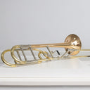 Eastman ETB526G Tenorposaune mit Quartventil – Goldmessing
