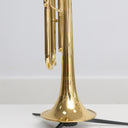 Carol Brass Andrea Giuffredi Commercial Bb-Trompete – Lackiert