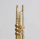 Carol Brass Andrea Giuffredi Allround Bb-Trompete – Lackiert