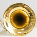 Kühnl & Hoyer Bart van Lier 480 488 Tenorposaune – Lightweight, Dual Bore 195mm