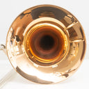King 3B Legend 2103LG Tenorposaune Goldmessing-Schallbecher