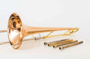 Edwards-T-302-T302-3-Jazz-Tenor-Posaune-Trombone-Tromba-256025999261-2