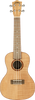 Lehrmaterial Ukelele