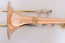 Schilke-ST21-G2-Tenor-posaune-Goldmessing-Hagmann-Ventil-Convertable-256030496065-13