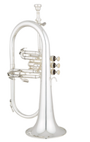 Eastman EFG521GS Bb-Flügelhorn – Versilbert, Goldmessing
