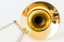 Shires-TBMD-T95MD-Michael-Davis-Jazz-Tenor-Posaune-Trombone-Tromba-256010952584-9