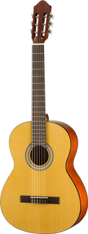 Walden WAN350W Konzertgitarre – Laminat, Hochglanz, Tasche (neu)