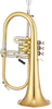 Flügelhörner