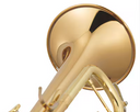 Yamaha YTR-6335RC Commercial Bb-Trompete – Goldlack, ML-Bohrung 11,65 mm, Reverse-Mundrohr, inkl. Koffer & 14B4 Mundstück, Neu & OVP